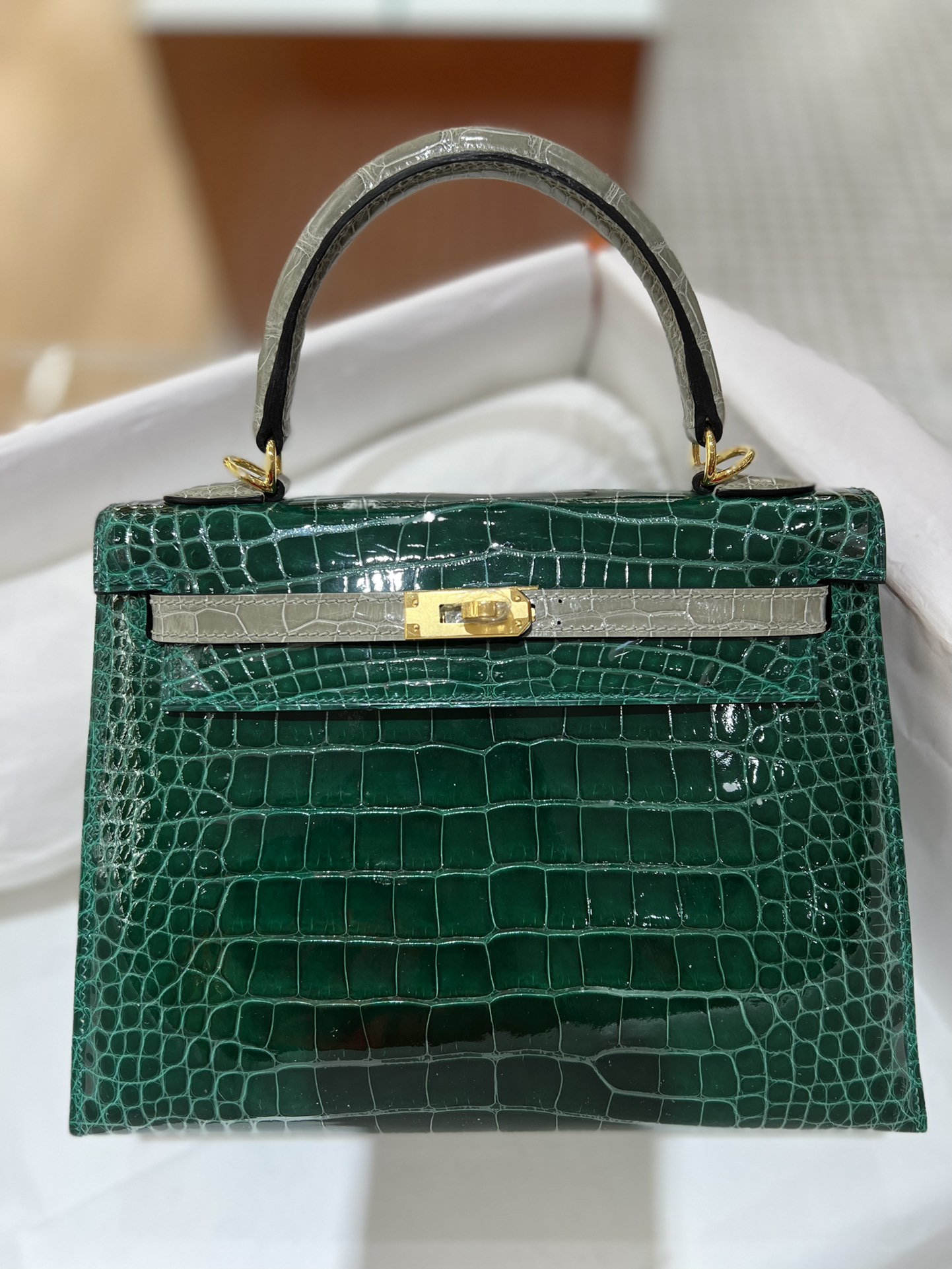 Hermes Kelly 25cm Handbag Shoulder Bag In Vert Emeraude Grey Shiny Crocodile Niloticus Leather